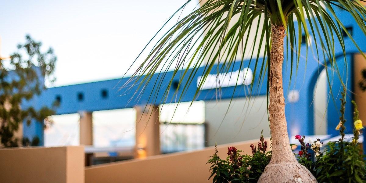 Almogim Suites Eilat Hotel (Adults Only) Eksteriør billede